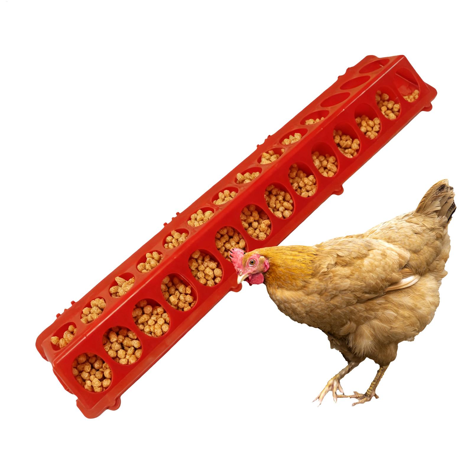Pigeon Feeder 28-hole Long Lar - Baby Food With Chicken ulasan dan harga