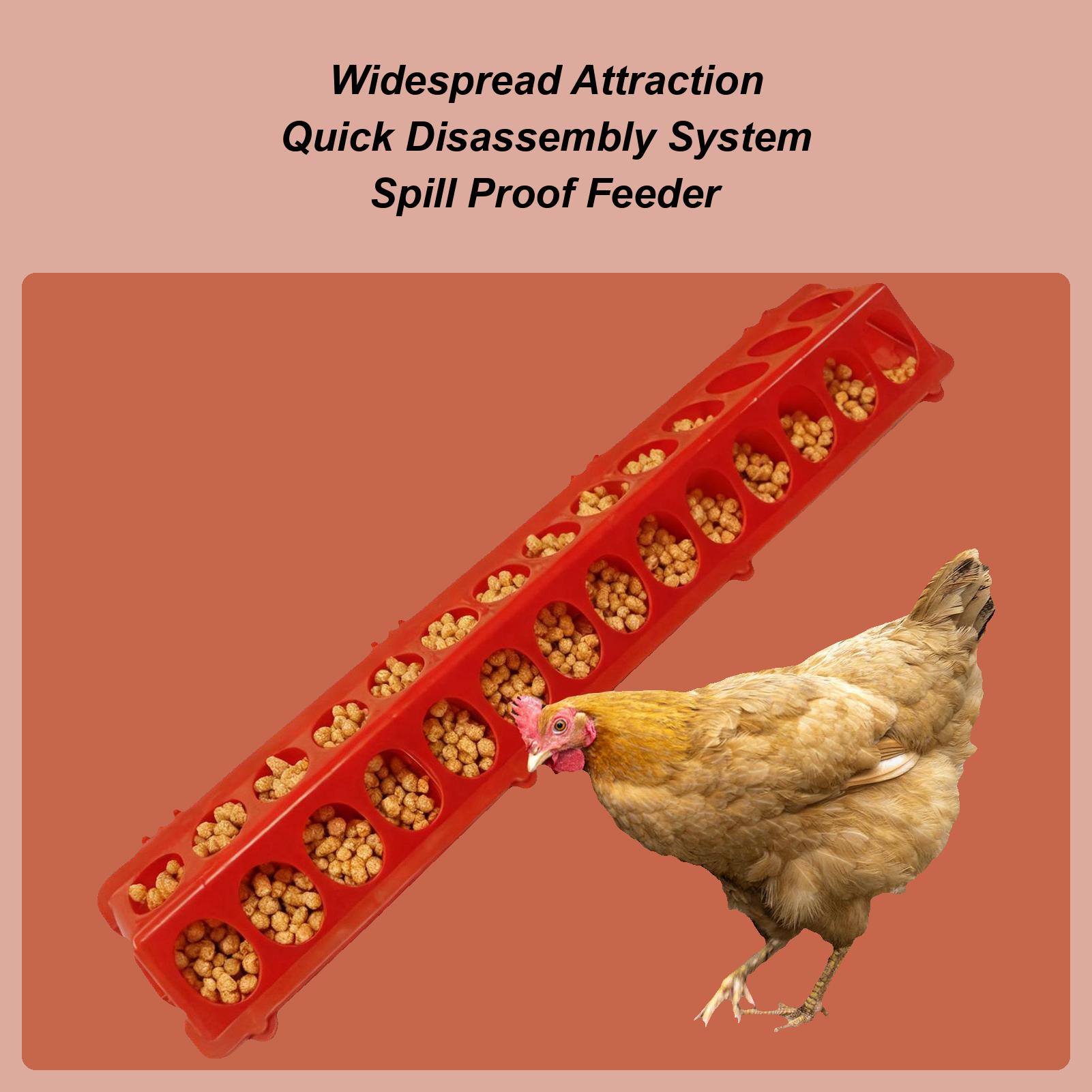 Pigeon Feeder 28-hole Long Lar - Baby Food With Chicken ulasan dan harga