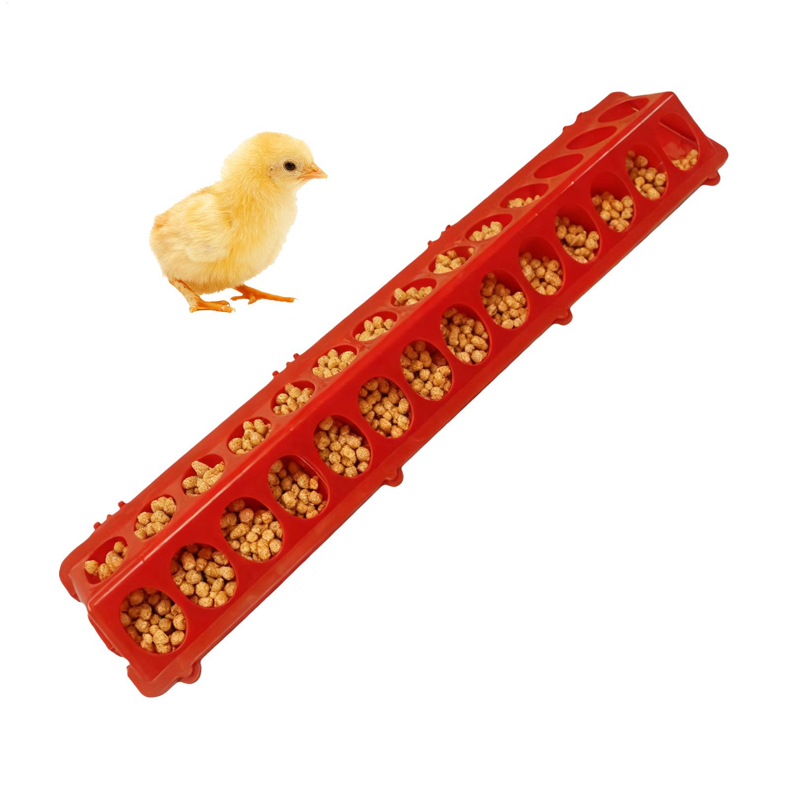 Pigeon Feeder 28-hole Long Lar - Baby Food With Chicken ulasan dan harga