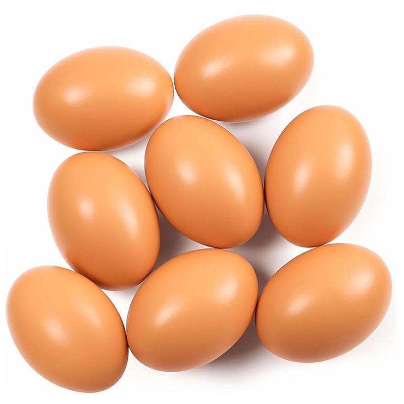 Wooden Egg for Laying Chickens - Baby Food With Chicken ulasan dan harga