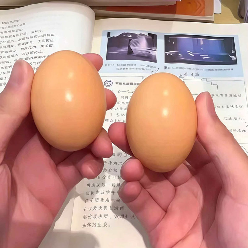 Wooden Egg for Laying Chickens - Baby Food With Chicken ulasan dan harga