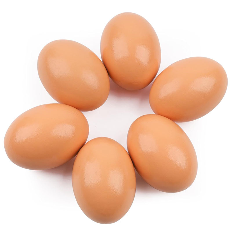 Wooden Egg for Laying Chickens - Baby Food With Chicken ulasan dan harga