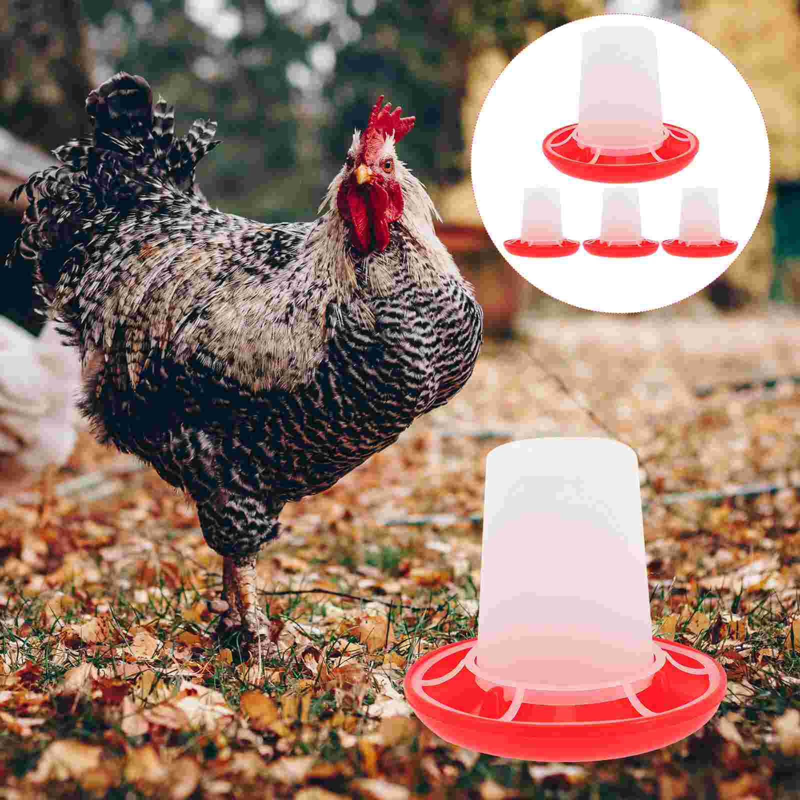 4 Pcs Chick Feeder and Waterer - Baby Food With Chicken ulasan dan harga