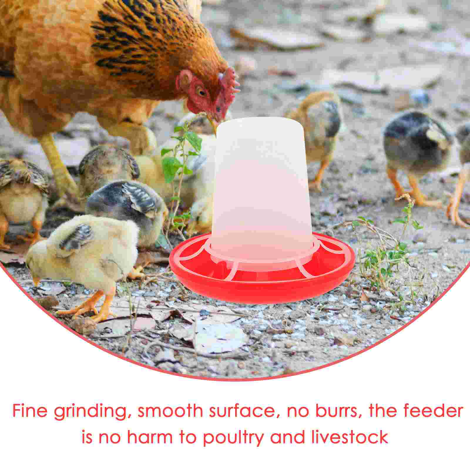 4 Pcs Chick Feeder and Waterer - Baby Food With Chicken ulasan dan harga